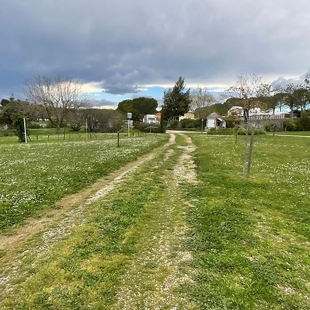 Appartement La Bergerie à Domessargues Extérieur photo