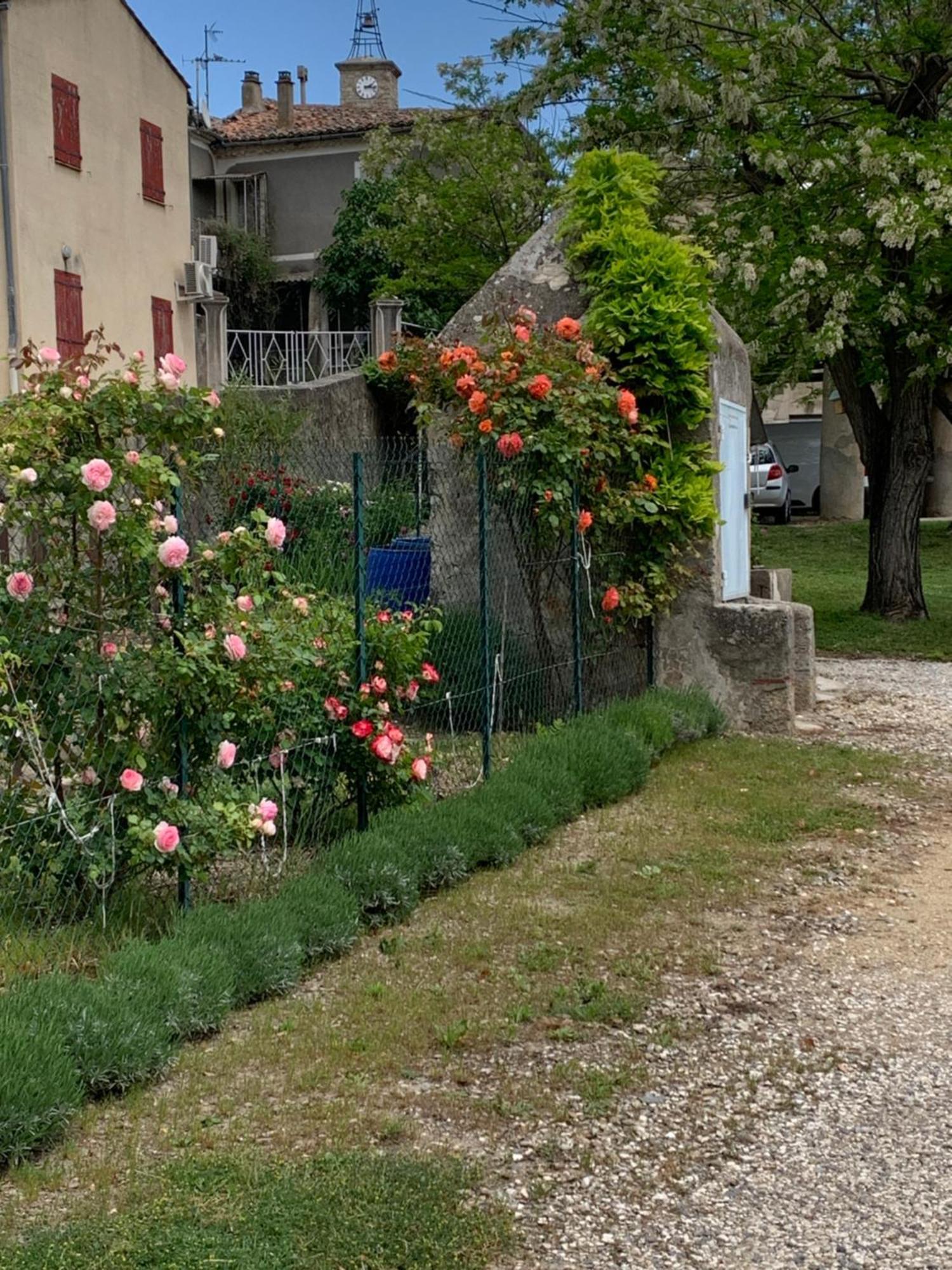 Appartement La Bergerie à Domessargues Extérieur photo