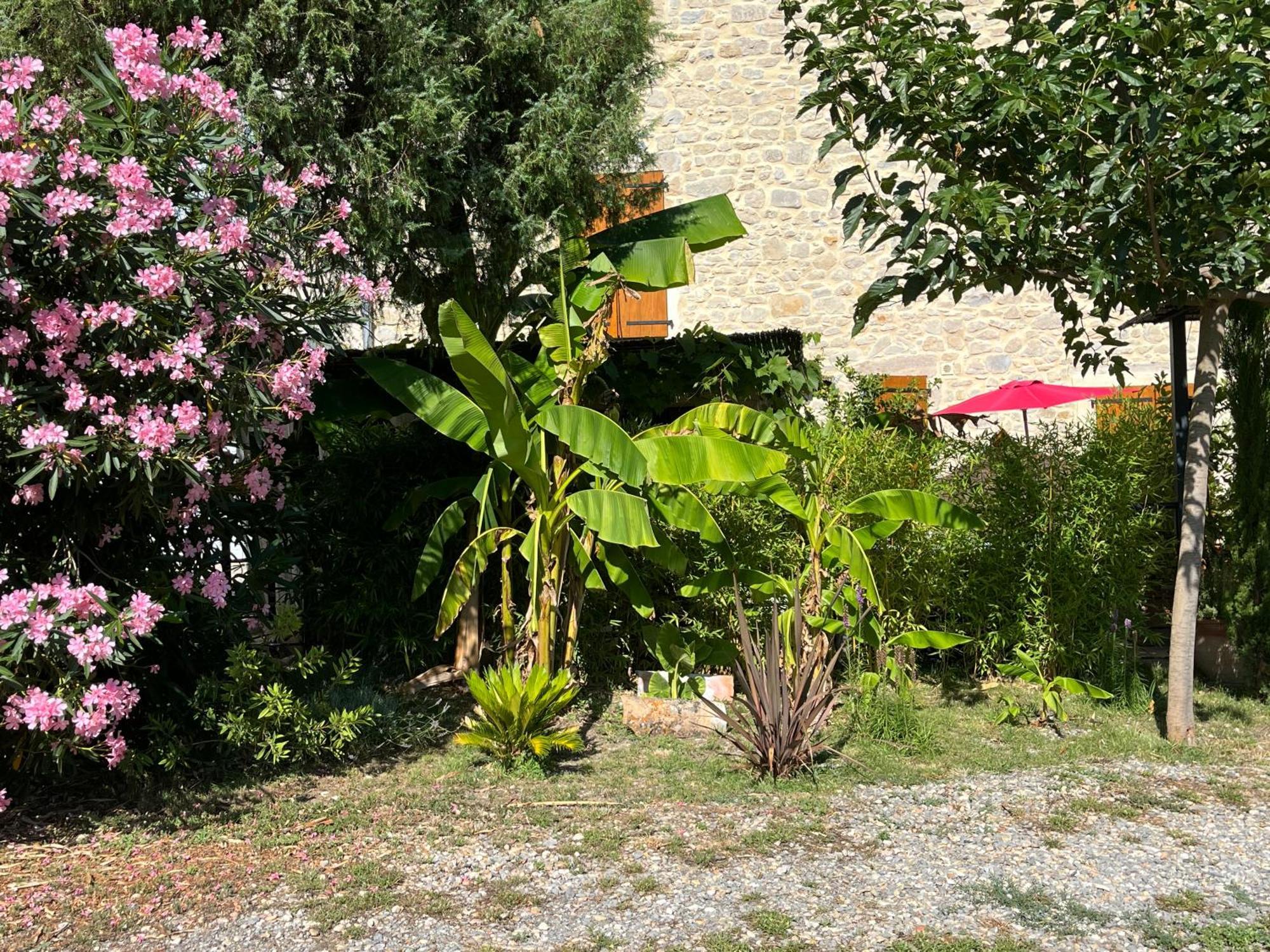 Appartement La Bergerie à Domessargues Extérieur photo