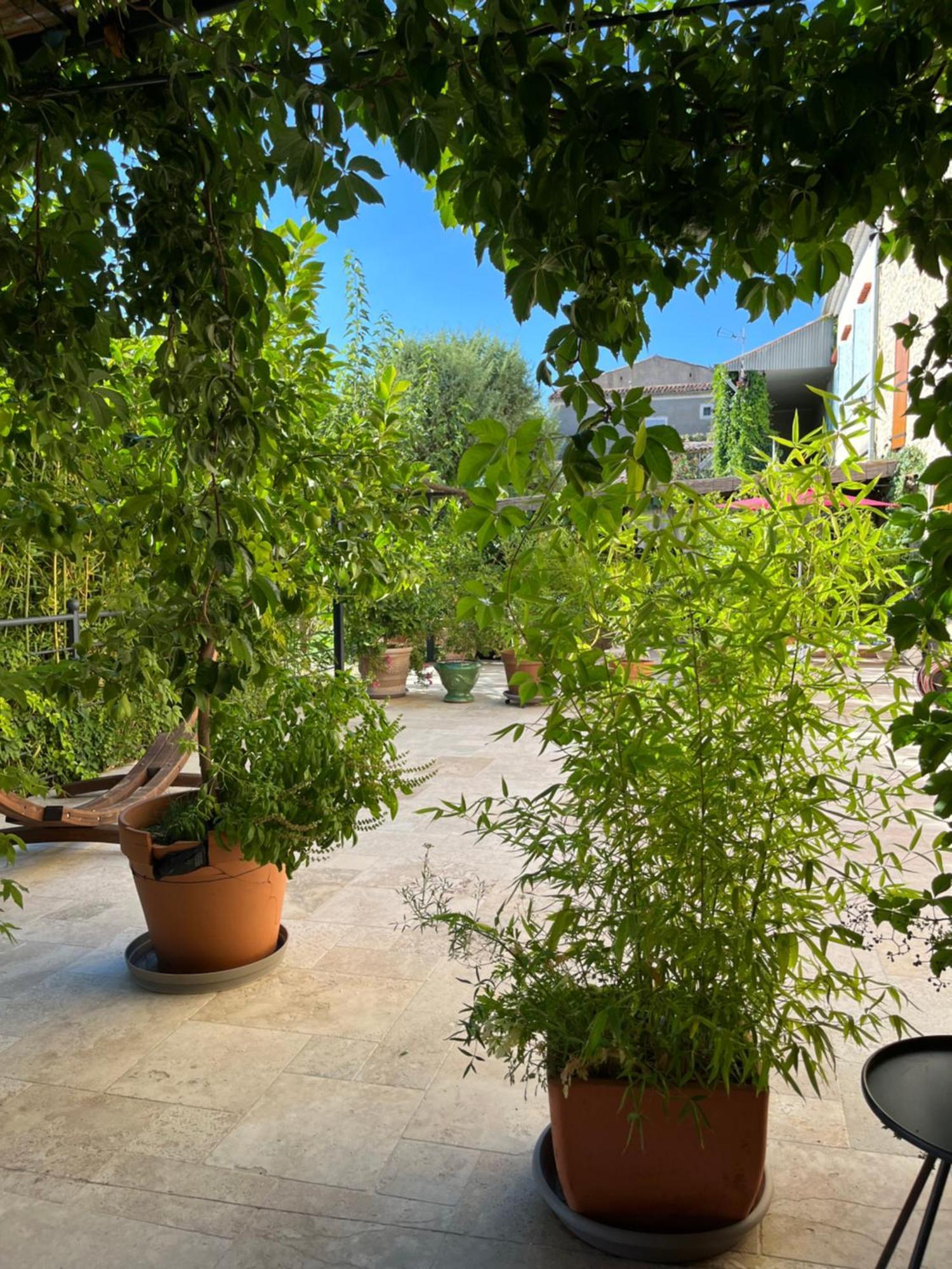 Appartement La Bergerie à Domessargues Extérieur photo